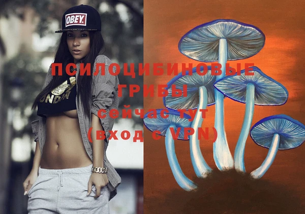 каннабис Медногорск