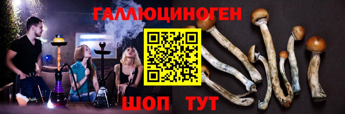 Псилоцибиновые грибы Psilocybe Чебаркуль